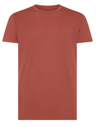 T-shirt uomo essential Moon Rust – MOON10